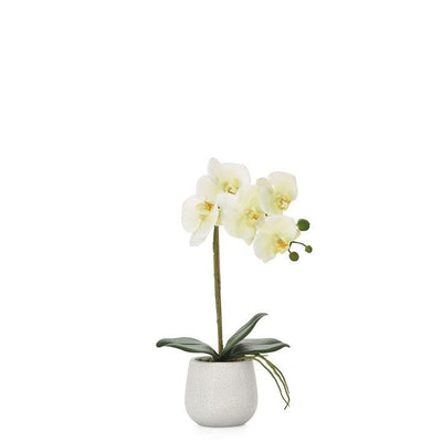 phalaenopsis potted 15 faux single stem orchid yellow by torre tagus 2-img8