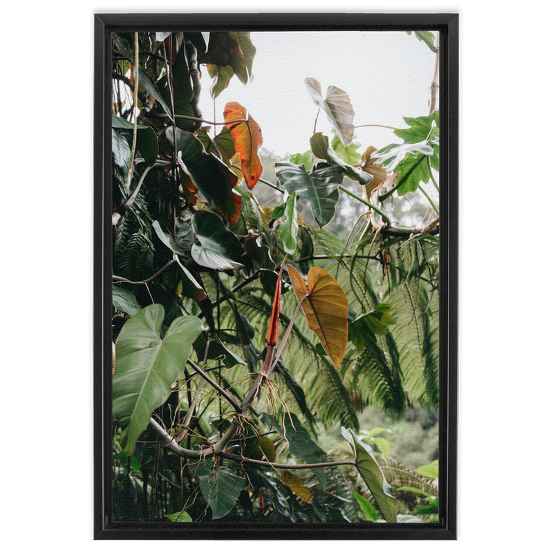Jungle Framed Canvas-img27