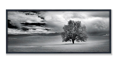 PhotoDF, Lone Tree and Clouds in Wheat Field by Grand Image Home grid__img-ratio-51