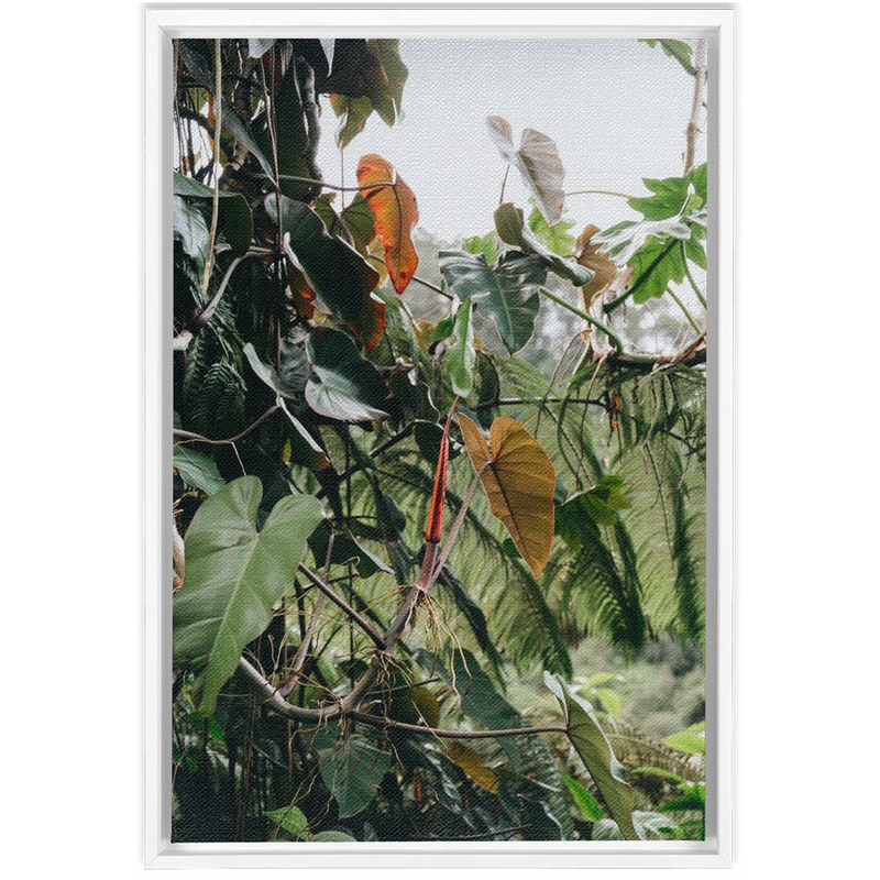 Jungle Framed Canvas-img38