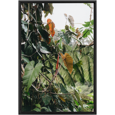 Jungle Framed Canvas-img43