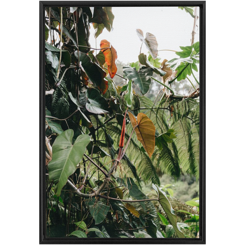 Jungle Framed Canvas-img78