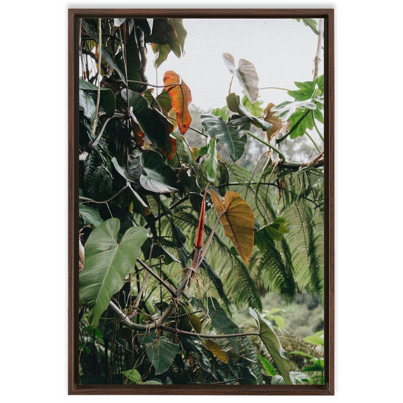 Jungle Framed Canvas-img96