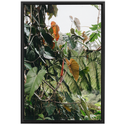 Jungle Framed Canvas-img24
