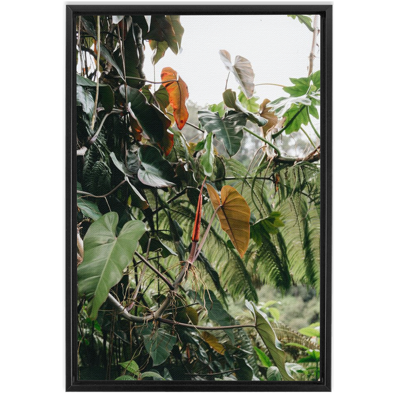 Jungle Framed Canvas-img75