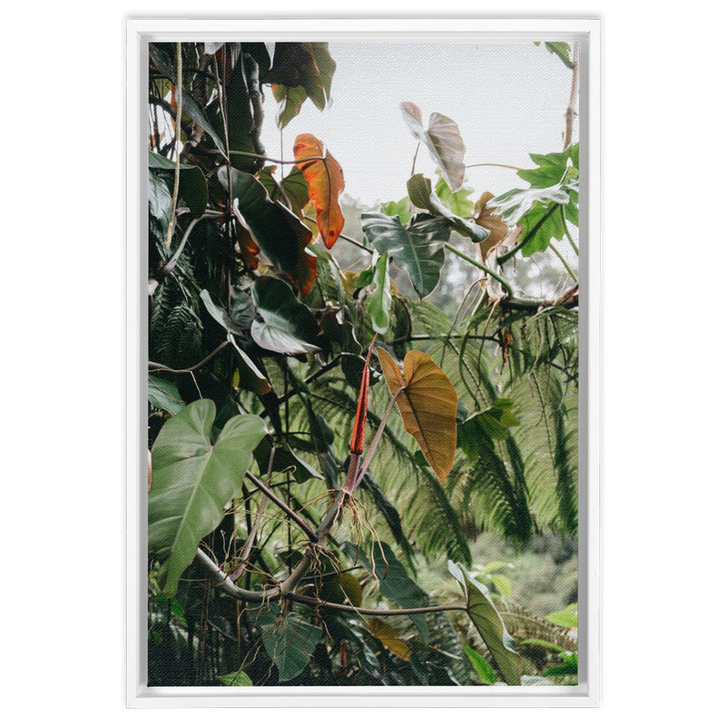 Jungle Framed Canvas-img81