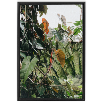 Jungle Framed Canvas-img87
