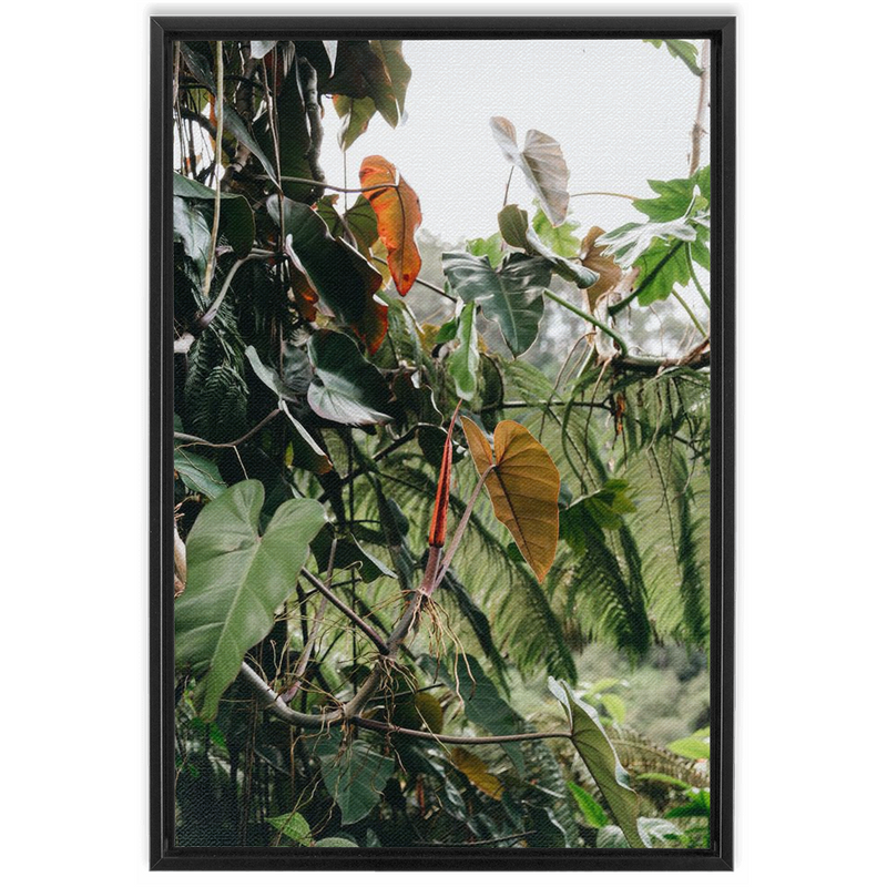 Jungle Framed Canvas-img90