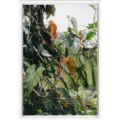 Jungle Framed Canvas-img63