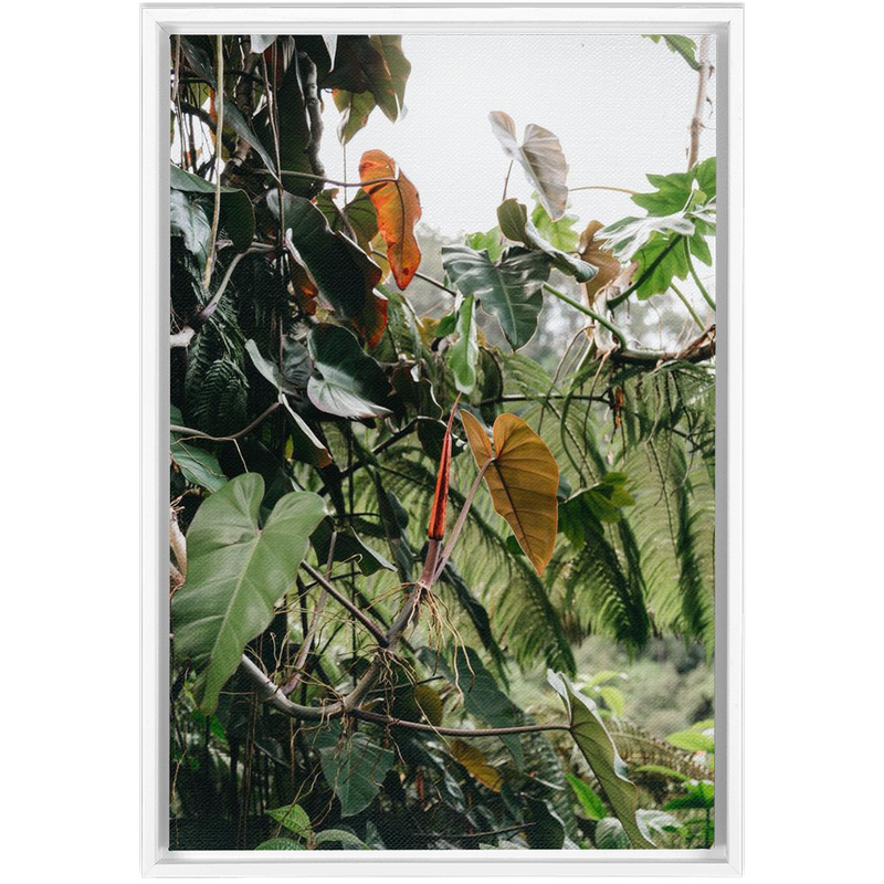 Jungle Framed Canvas-img22