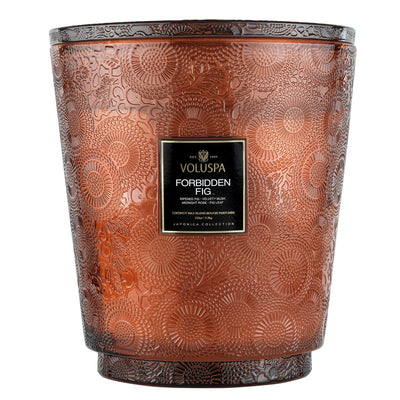 Forbidden Fig 5 Wick Hearth Candle-img78