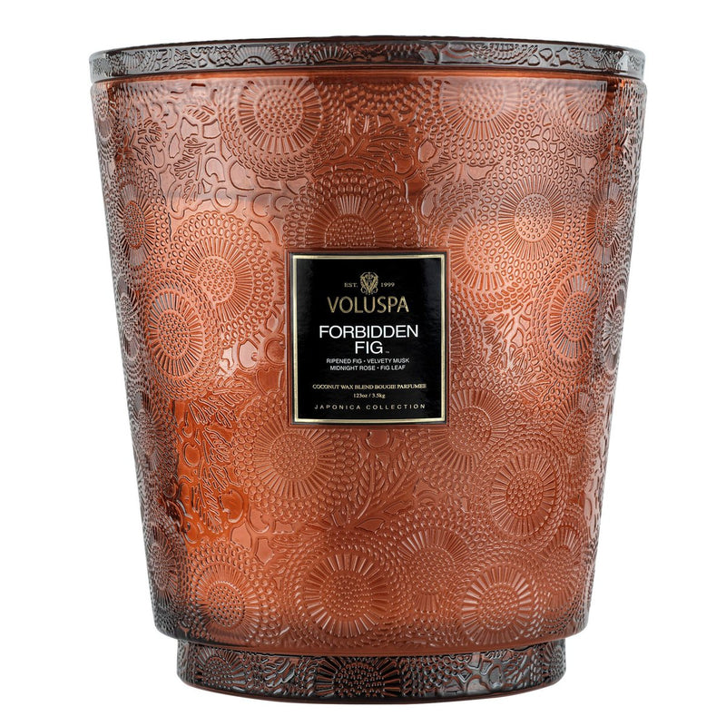 Forbidden Fig 5 Wick Hearth Candle-img70