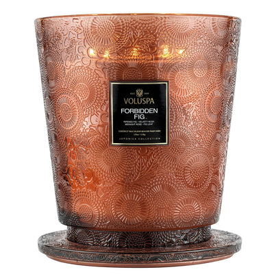 Forbidden Fig 5 Wick Hearth Candle-img59