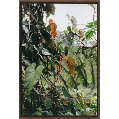 Jungle Framed Canvas-img72