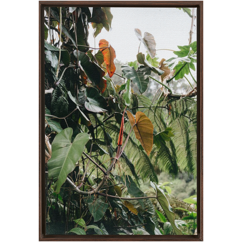 Jungle Framed Canvas-img33
