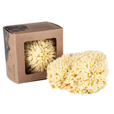 Wool Bath Sponges in Various Sizes-img75
