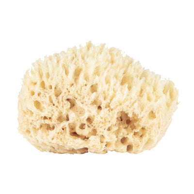 Wool Bath Sponges in Various Sizes-img72