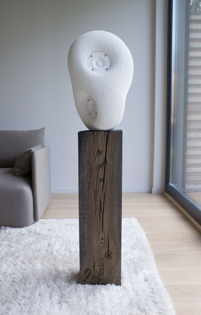Acoustic Sculpture Speaker by Transparent-img54