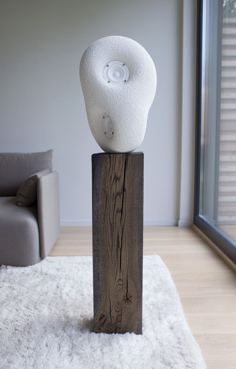 Acoustic Sculpture Speaker by Transparent-img48