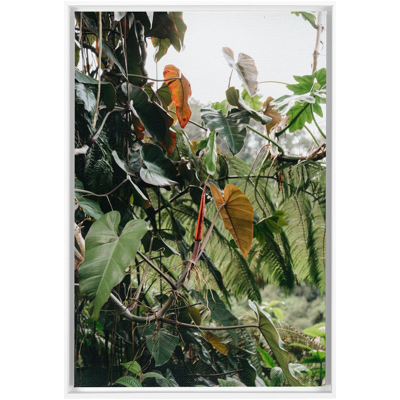 Jungle Framed Canvas-img44