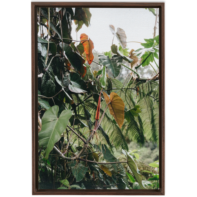 Jungle Framed Canvas-img53