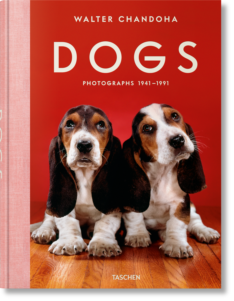 Walter Chandoha Dogs Photographs 1941–1991-img3