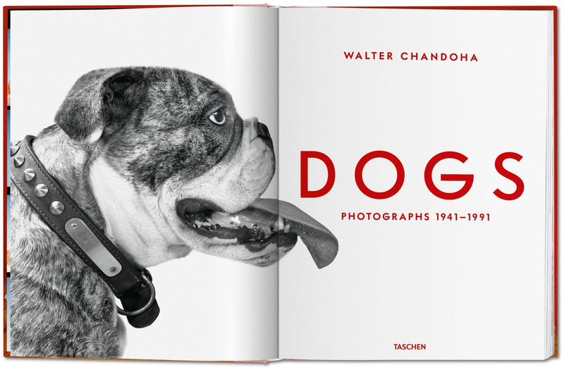 Walter Chandoha Dogs Photographs 1941–1991-img70