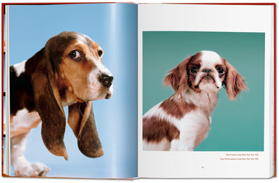 Walter Chandoha Dogs Photographs 1941–1991-img62