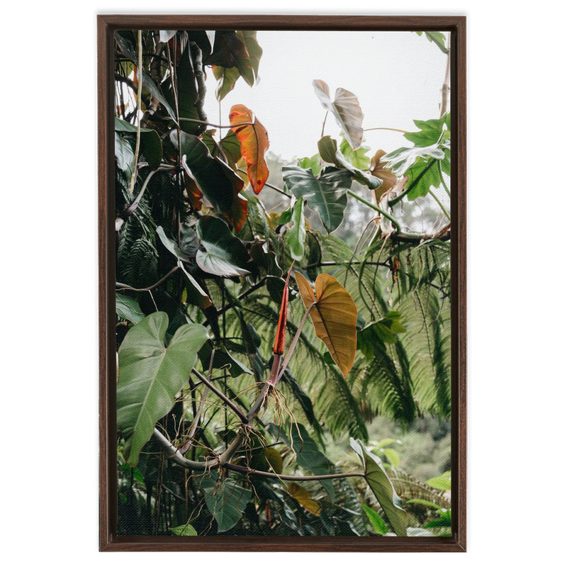 Jungle Framed Canvas-img3