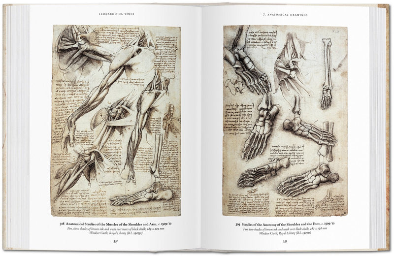 Leonardo The Complete Drawings-img11