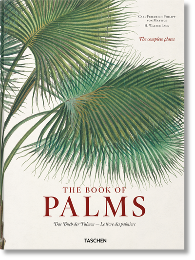 martius the book of palms 1-img40