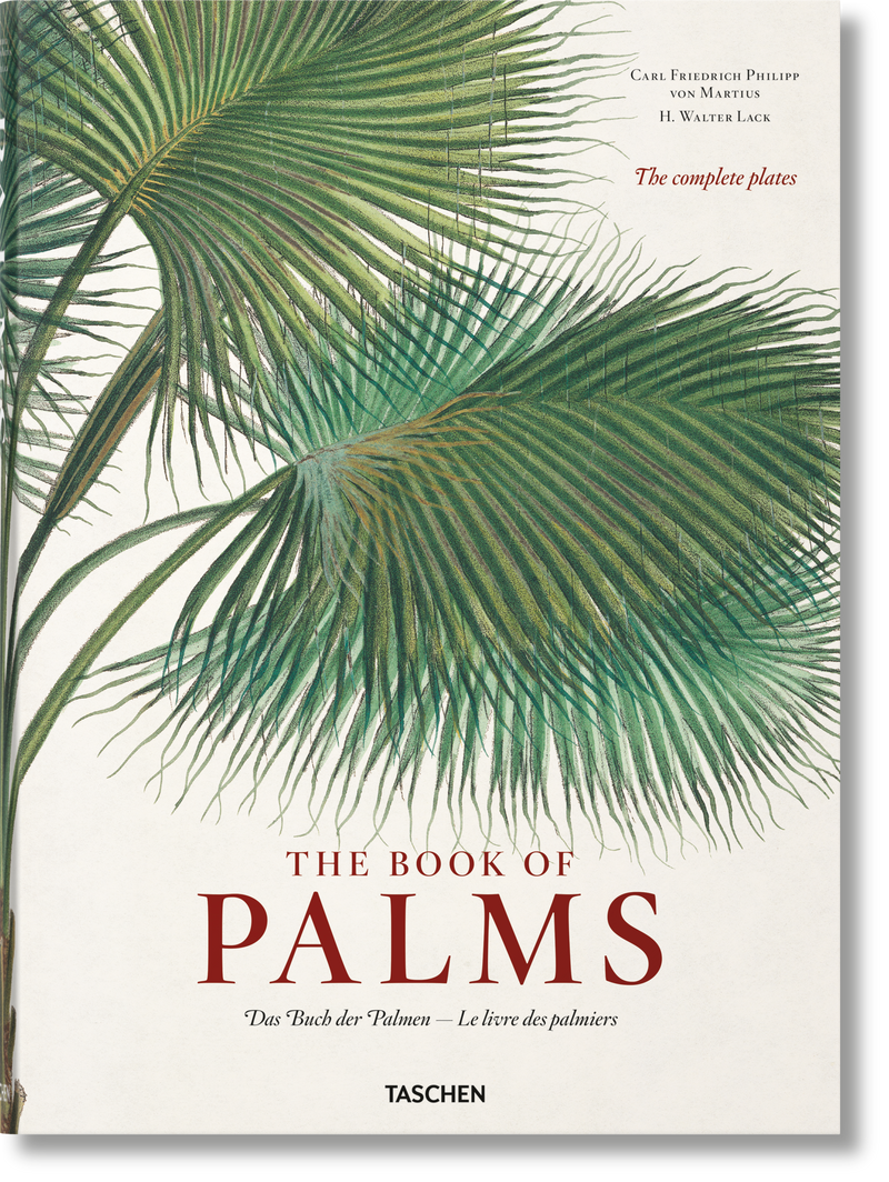 martius the book of palms 1-img34