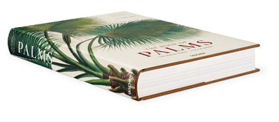 martius the book of palms 2-img31