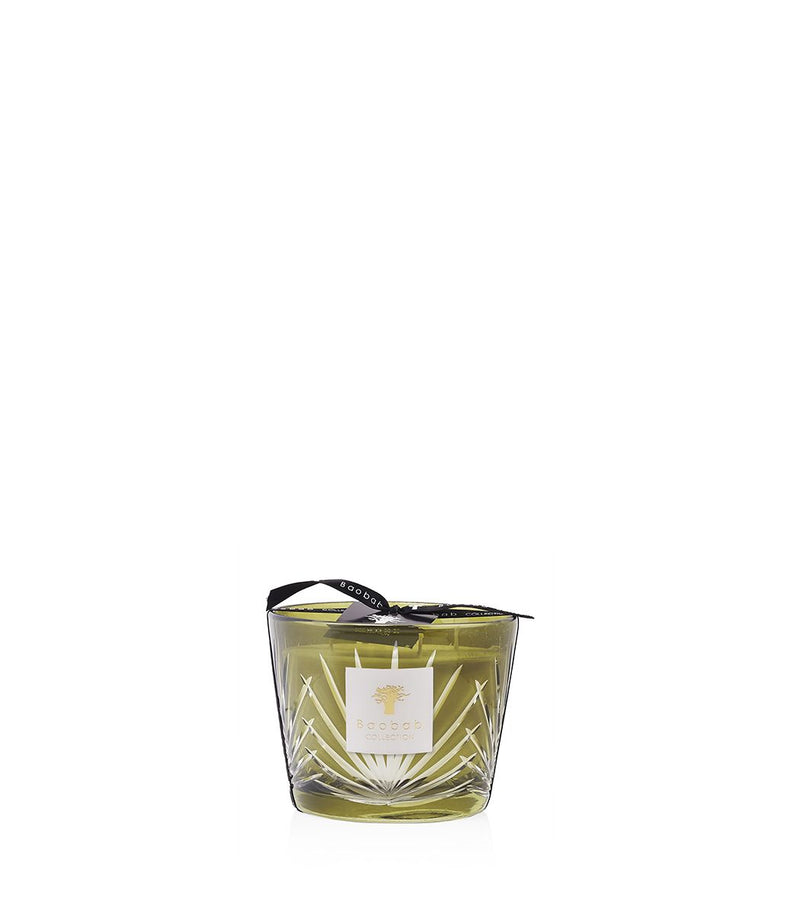 Palm Springs Max 10 Candle by Baobab Collection-img12