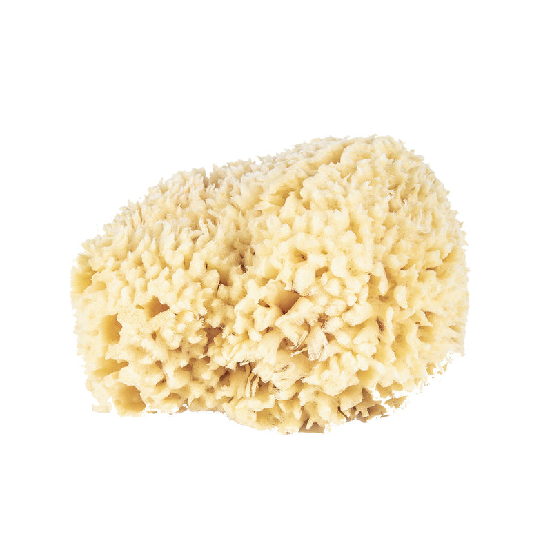 Wool Bath Sponges in Various Sizes-img59
