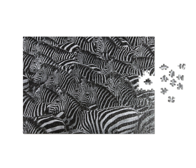 puzzle zebra wildlife pattern 2-img76